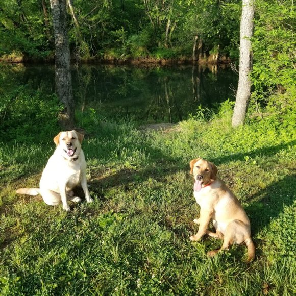 Meet your Posher, Janine - Picture 5 of 5